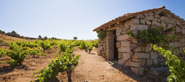 Paisaje en Cebreros para escapada con cata de vinos